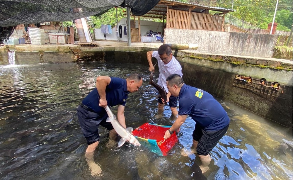 ��Ȧ(�й���)�������ǲ�!